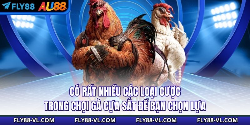 Có rất nhiều các loại cược trong chọi gà cựa sắt để bạn chọn lựa